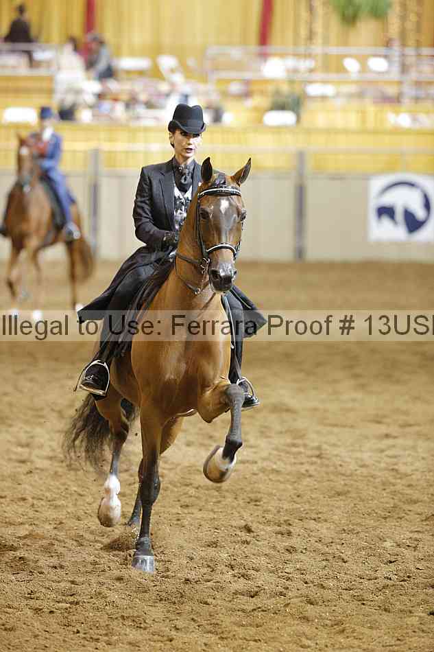 Proof 13usn_14976