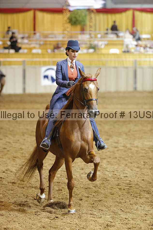 Proof 13usn_14979