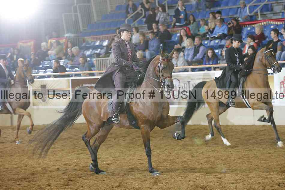 Proof 13usn_14989