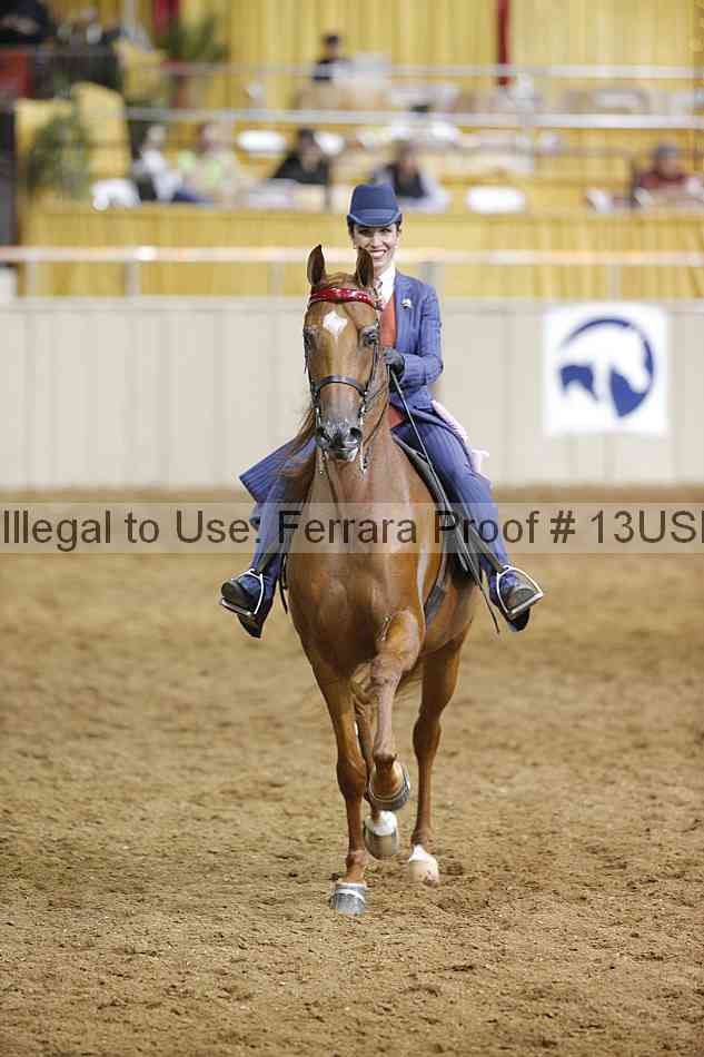 Proof 13usn_15020