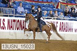 13usn_15023 proof