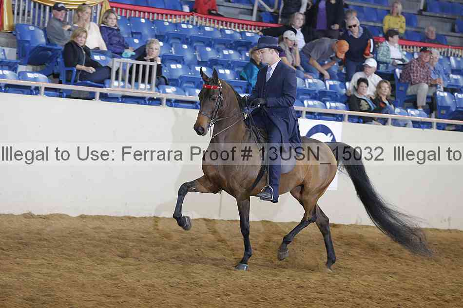 Proof 13usn_15032