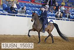 13usn_15032 proof