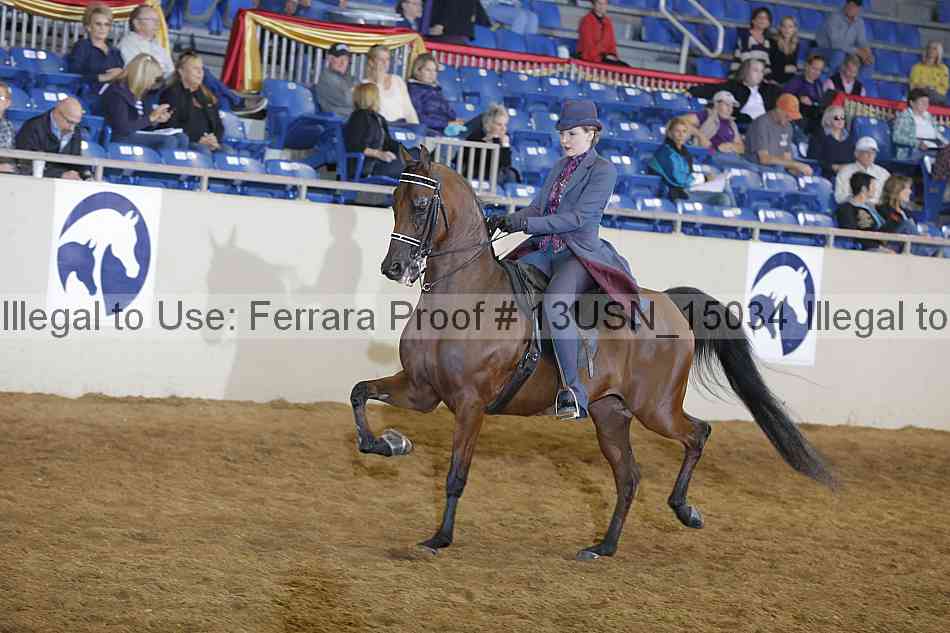 Proof 13usn_15034