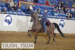 13usn_15034 proof