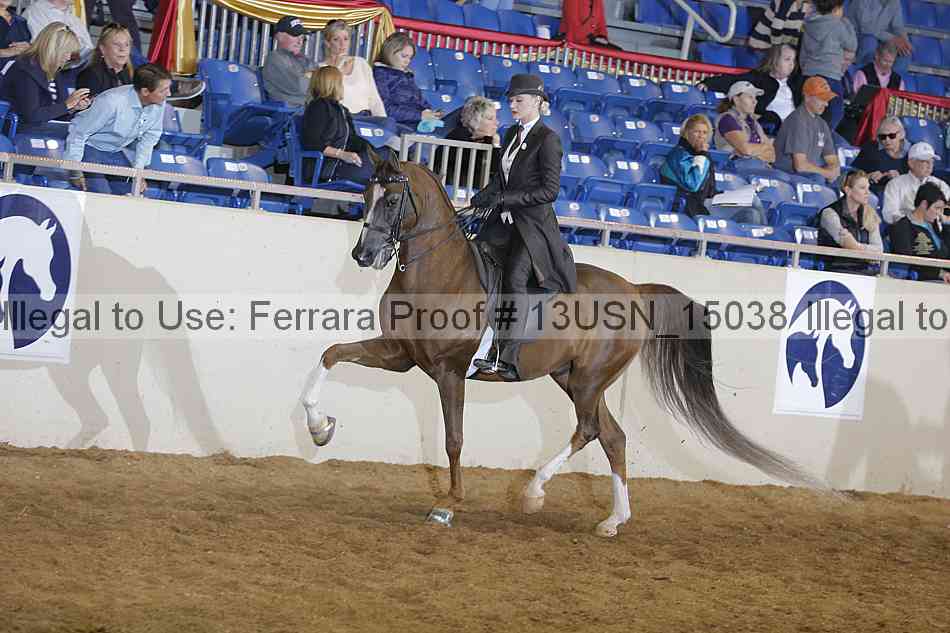 Proof 13usn_15038