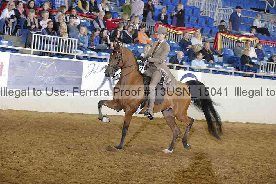 Proof 13usn_15041