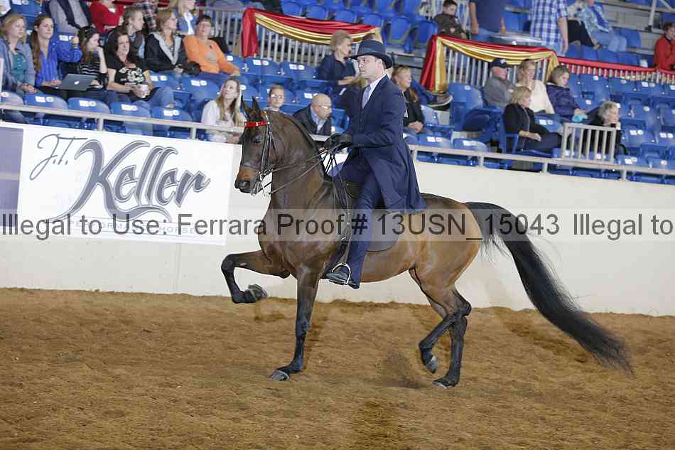 Proof 13usn_15043