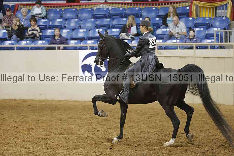 Proof 13usn_15051