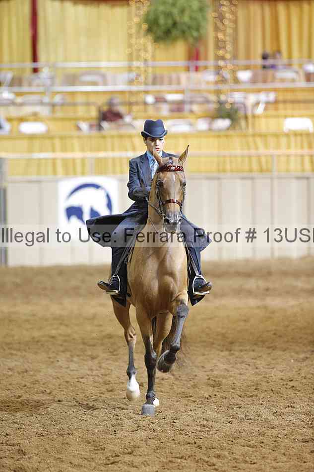 Proof 13usn_15055