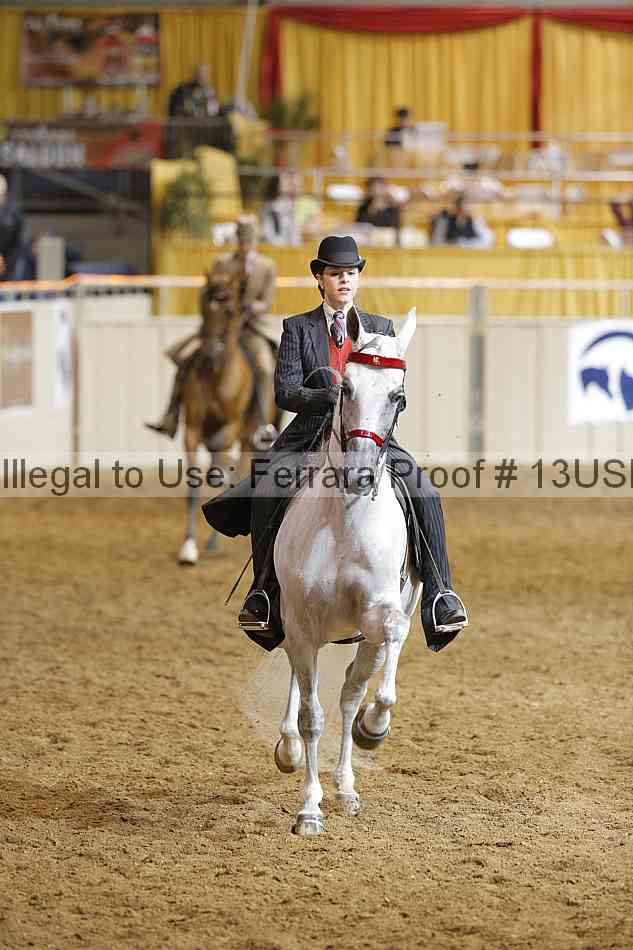 Proof 13usn_15073