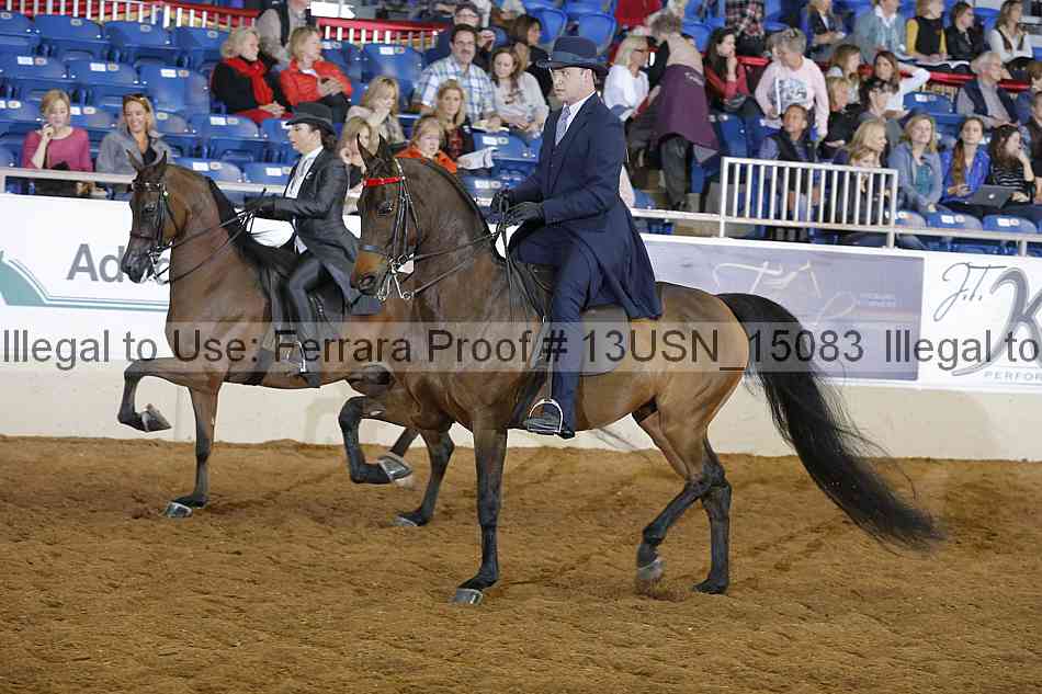Proof 13usn_15083