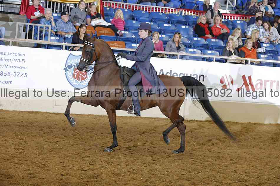 Proof 13usn_15092