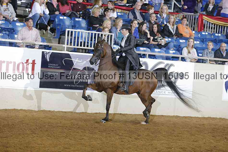 Proof 13usn_15095