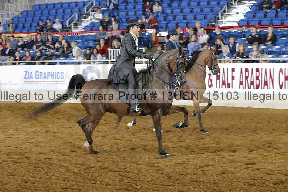 Proof 13usn_15103