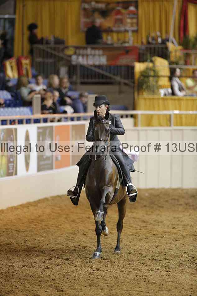 Proof 13usn_15143