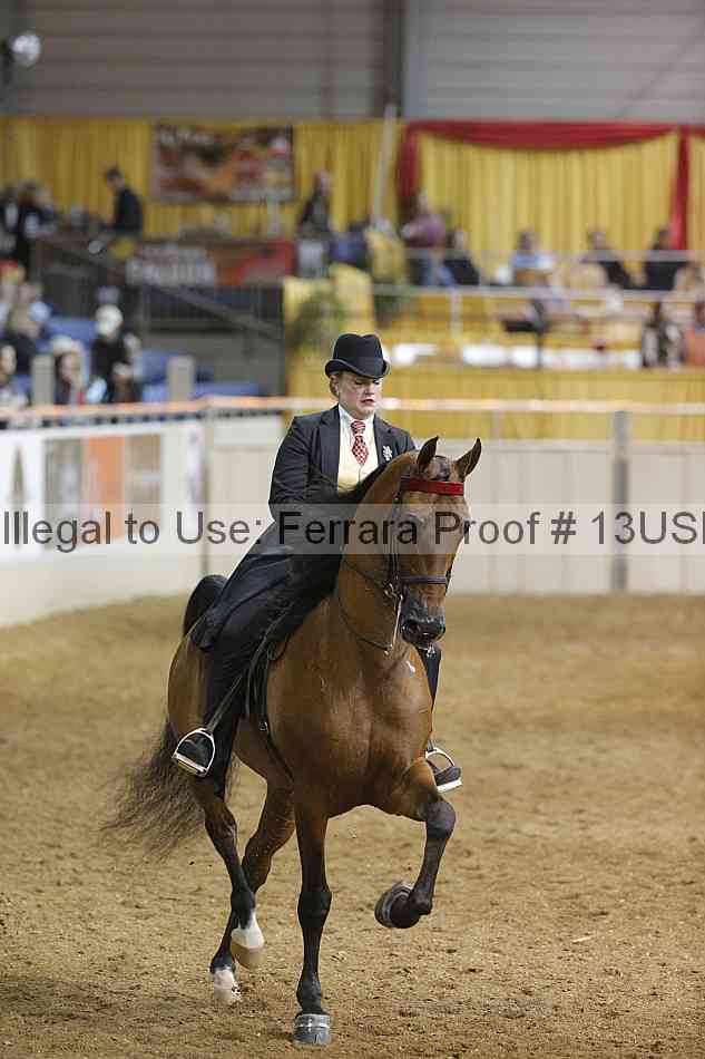 Proof 13usn_24220
