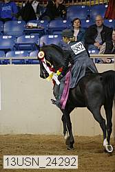 13usn_24292 proof