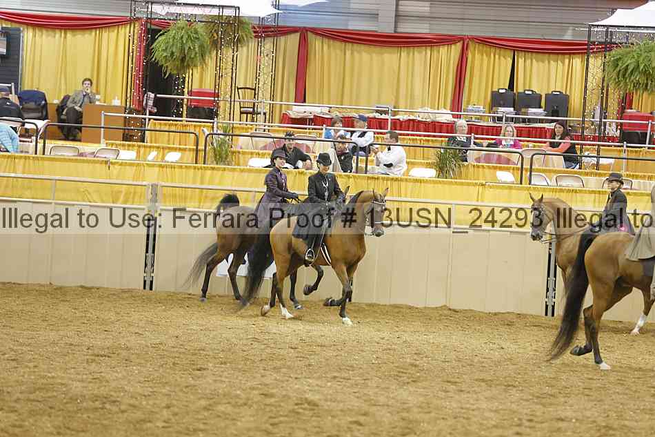 Proof 13usn_24293