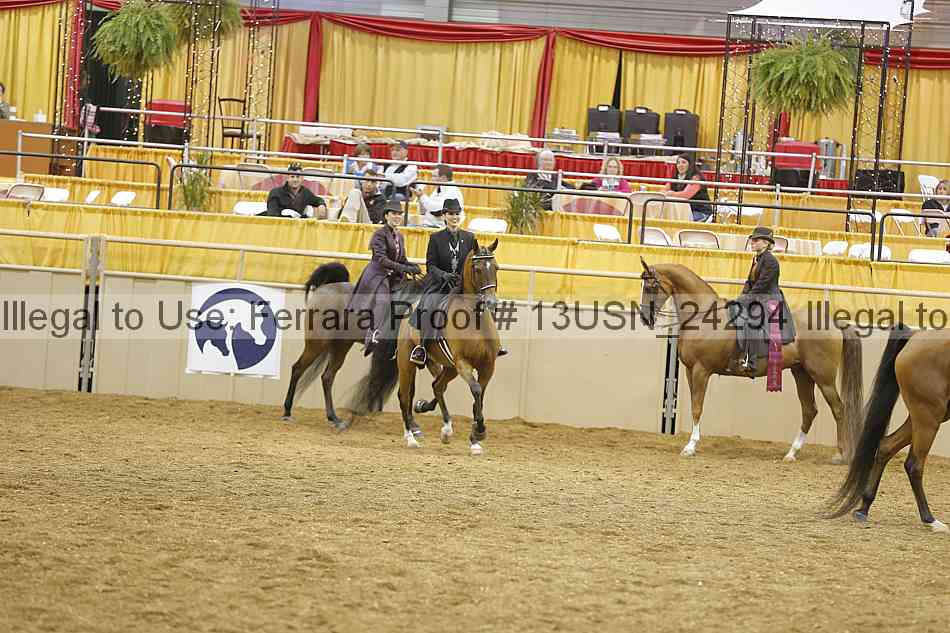 Proof 13usn_24294