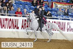 13usn_24313 proof