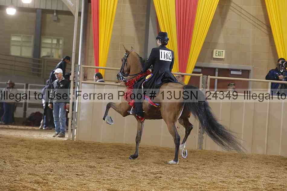 Proof 13usn_24349