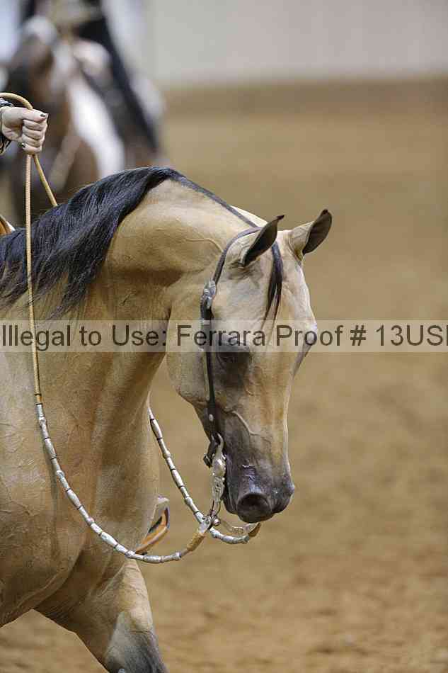 Proof 13usn_12585