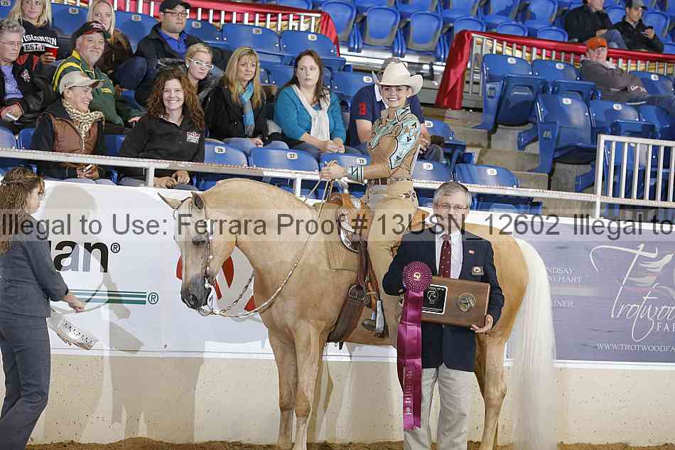 Proof 13usn_12602