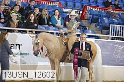 13usn_12602 proof