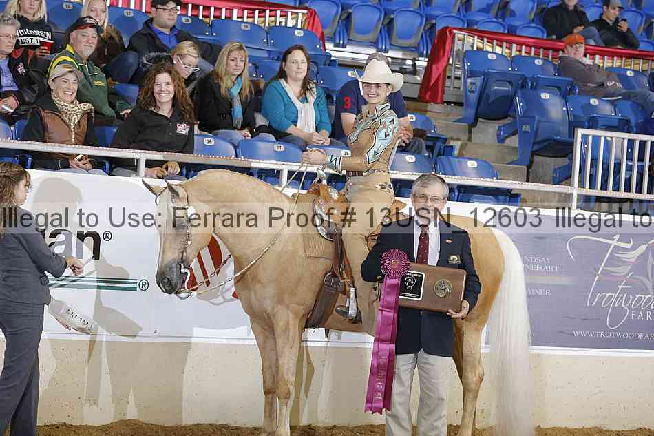 Proof 13usn_12603