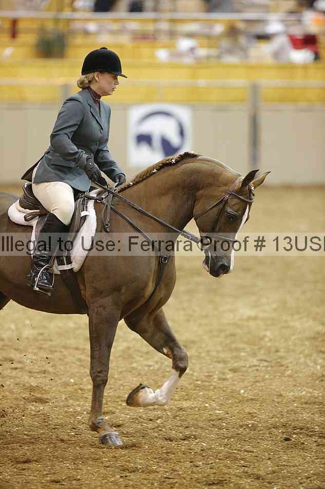 Proof 13usn_18266