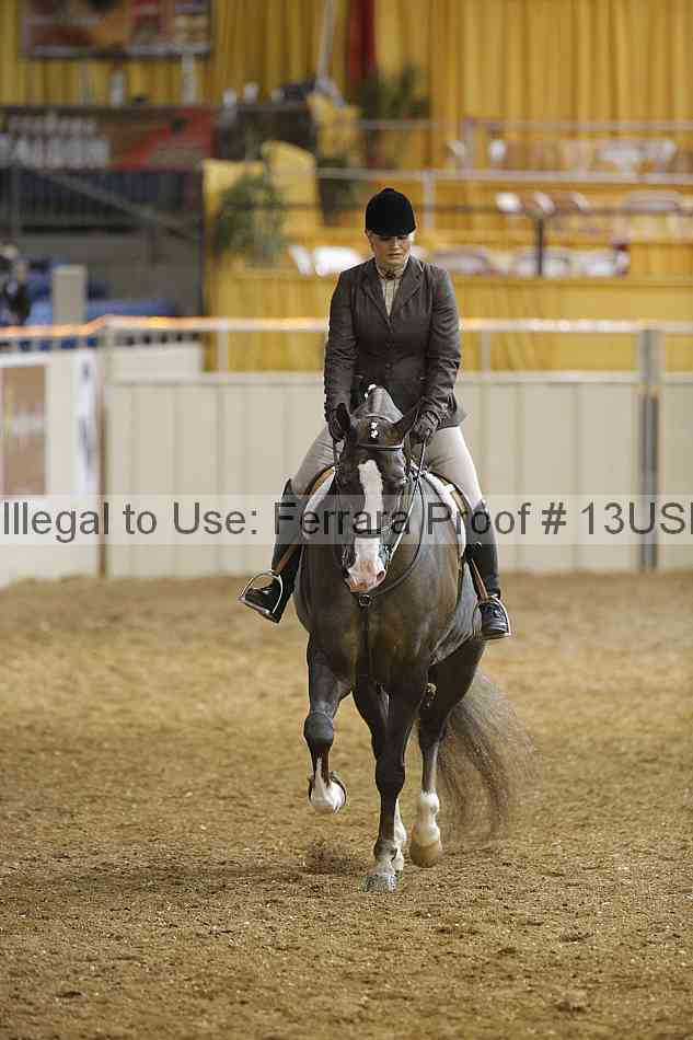 Proof 13usn_18271