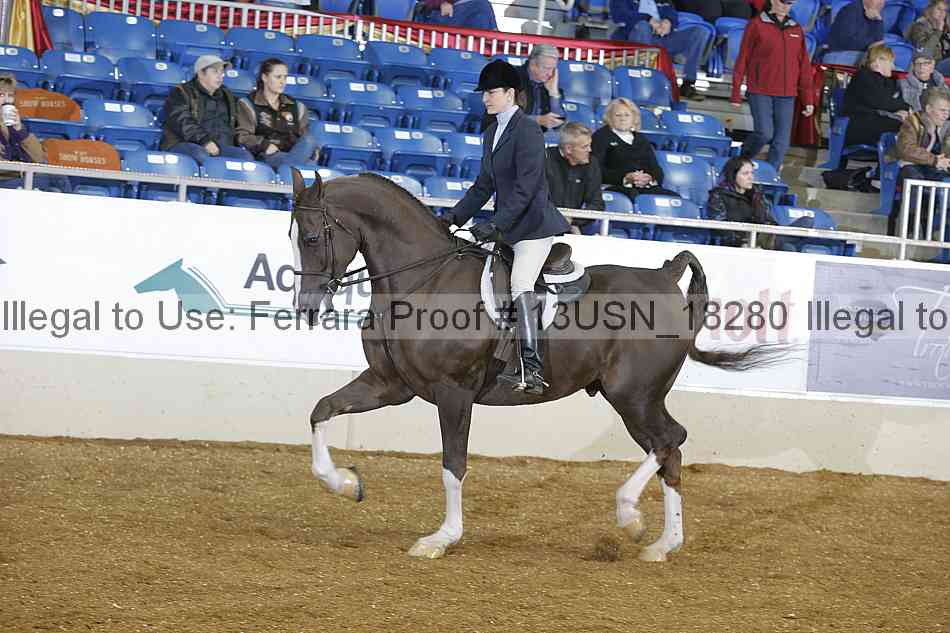 Proof 13usn_18280
