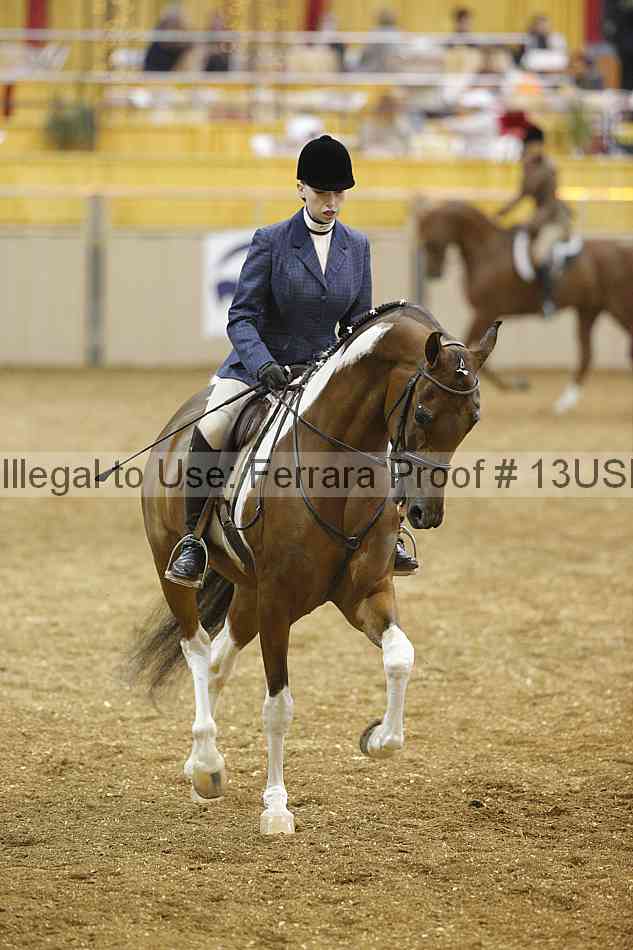 Proof 13usn_18281