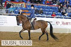 13usn_18338 proof