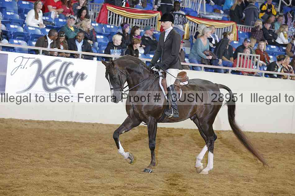 Proof 13usn_28951