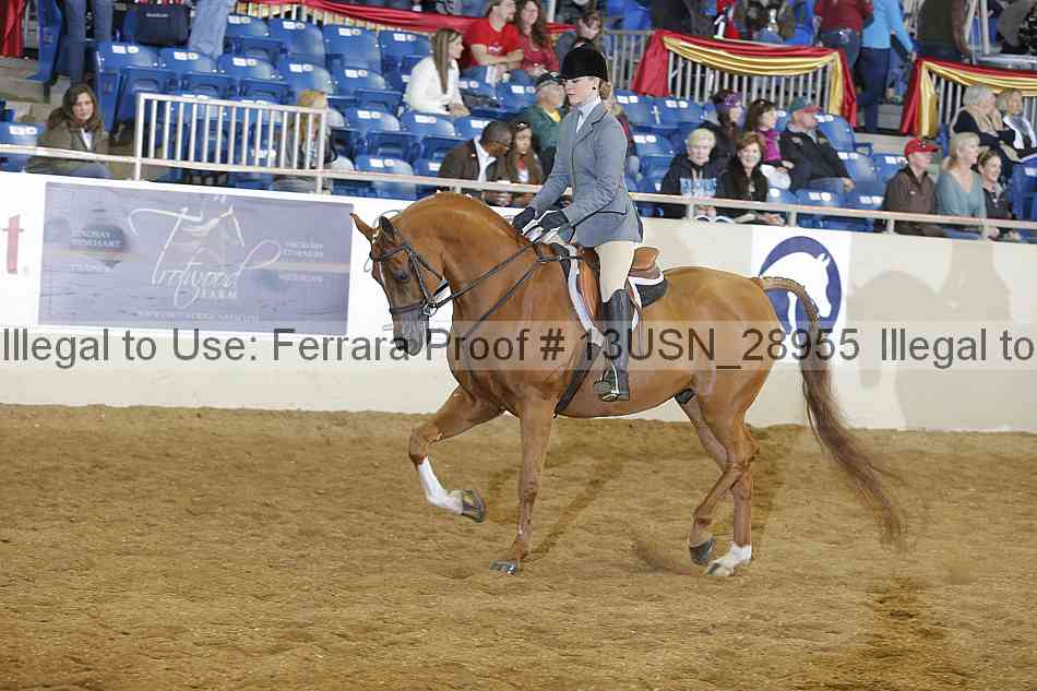 Proof 13usn_28955