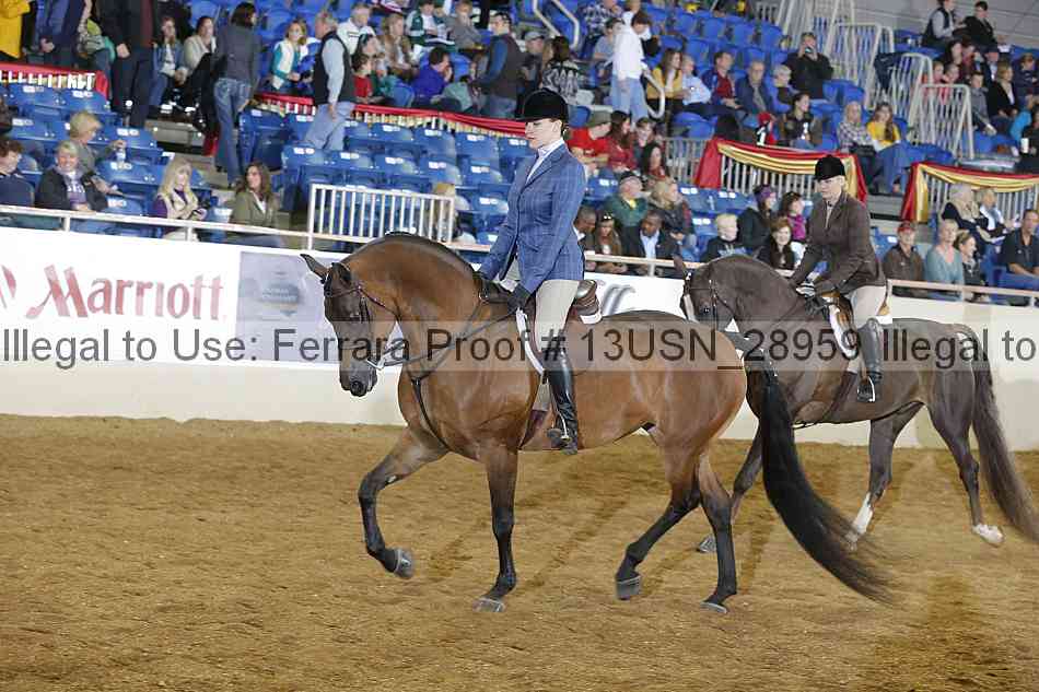 Proof 13usn_28959