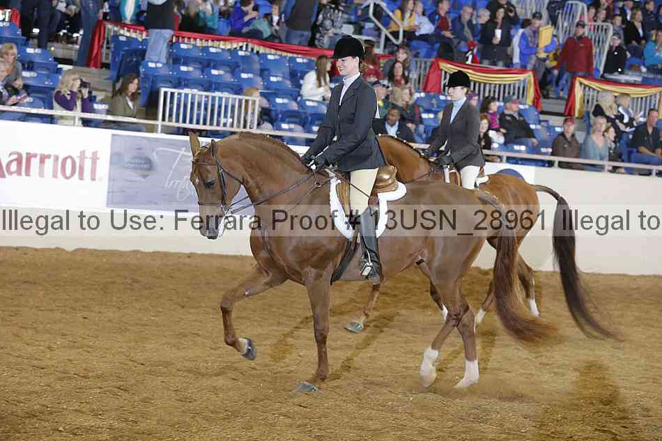 Proof 13usn_28961