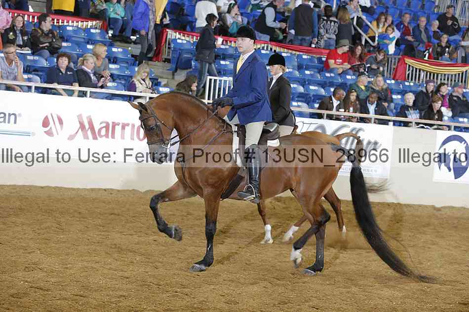 Proof 13usn_28966