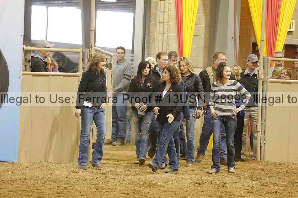 Proof 13usn_28993