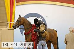 13usn_29029 proof