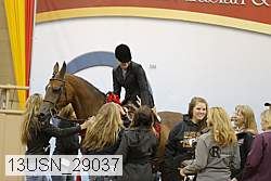 13usn_29037 proof