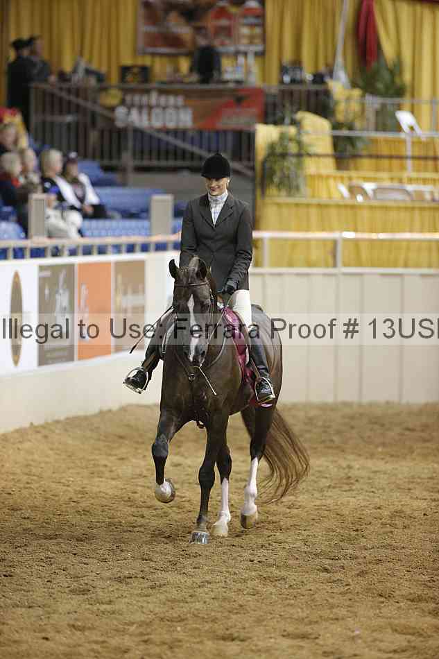 Proof 13usn_29046