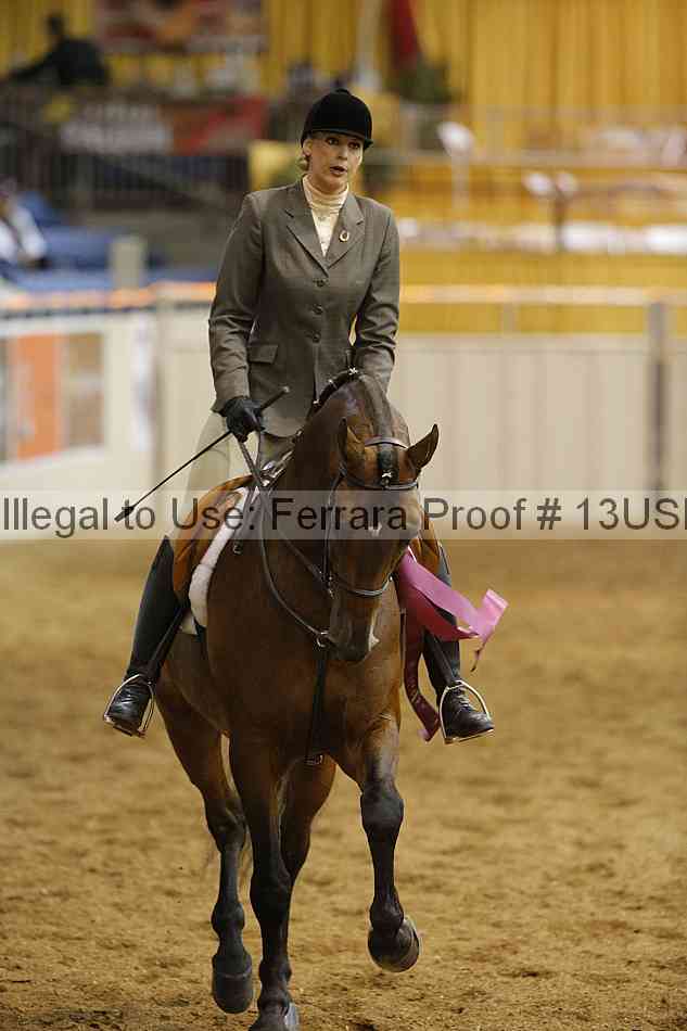 Proof 13usn_29064