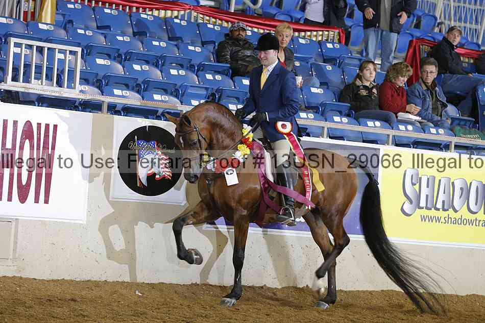 Proof 13usn_29066