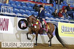 13usn_29066 proof