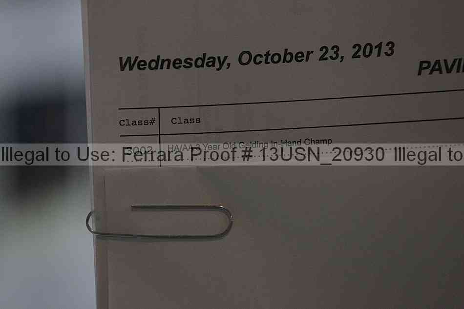 Proof 13usn_20930