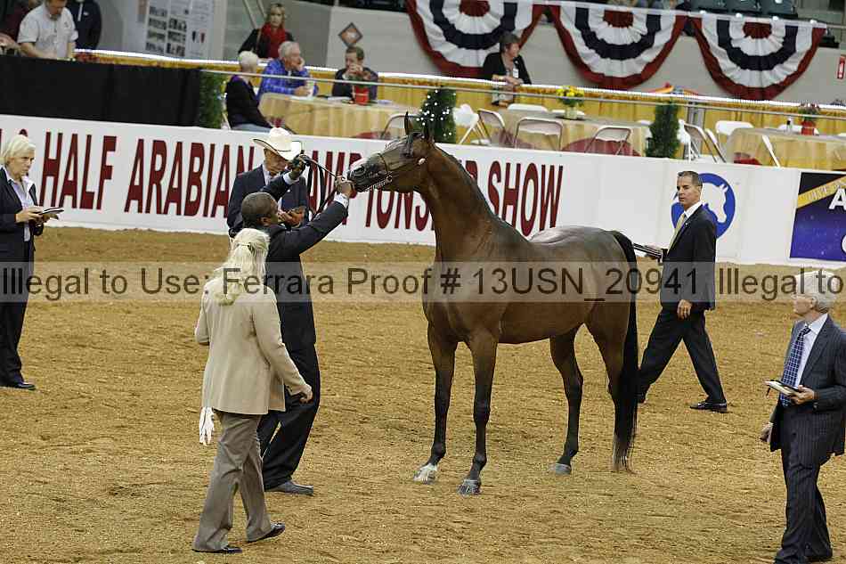 Proof 13usn_20941