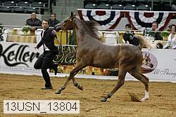 13usn_13804 proof